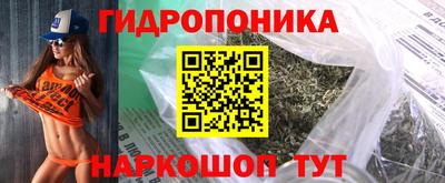 стаф Будённовск