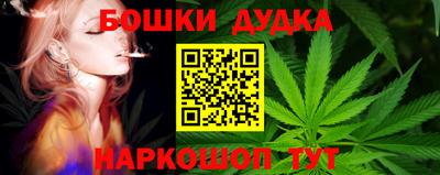 стаф Будённовск
