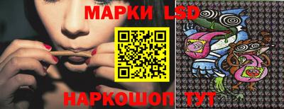стаф Будённовск