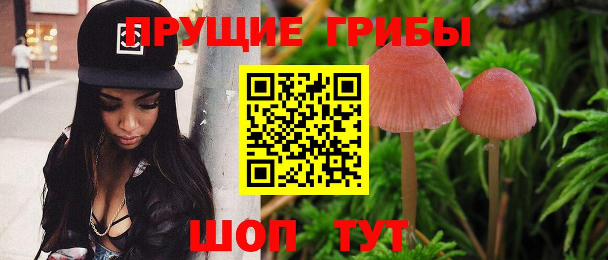 Галлюциногенные грибы GOLDEN TEACHER Муром