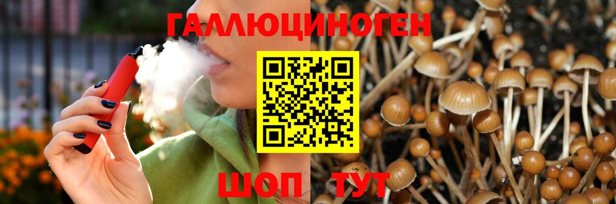 Галлюциногенные грибы GOLDEN TEACHER  Вход с VPN  Муром 